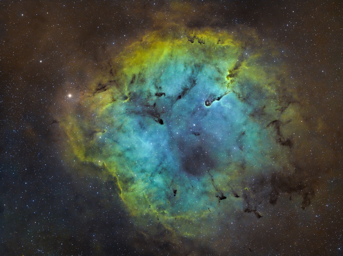 Nebulosa Trompa de Elefante